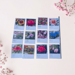 2027 Calendar Magnets